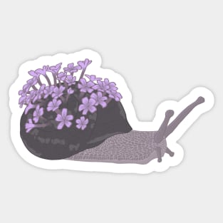 Flower Snail Sticker